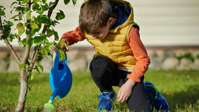 Gratis jonge boompjes voor inwoners van Leidschendam-Voorburg