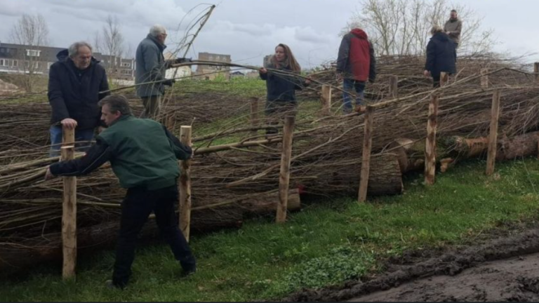 Natuurmaatregelen in Rijswijk Buiten bereiden ransuil voor op verhuizing