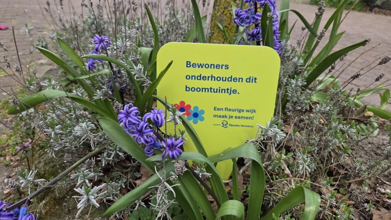 Pijnacker-Nootdorp stimuleert bewoners om meer groen aan te leggen