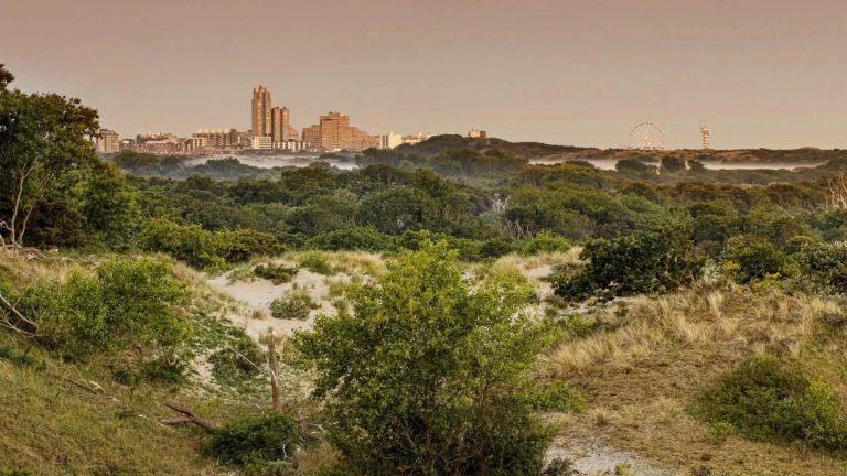 Nationaal Park Hollandse Duinen officieel erkend