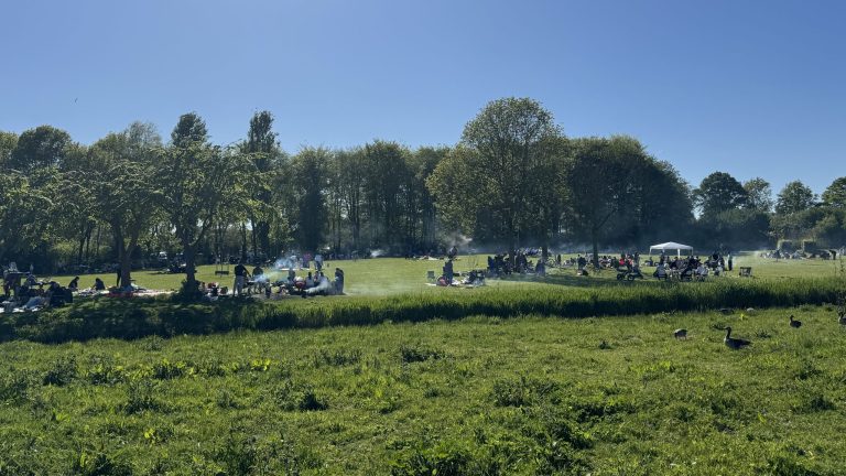 Tijdelijk barbecueverbod in Wilhelminapark door droogte