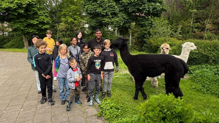 Kinderen Don Bosco helpen mee op alpacaboerderij tijdens vrijwilligersproject