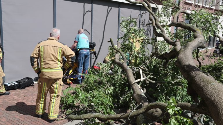 Boom valt op voorbijganger aan J.S. Bachlaan in Leidschendam