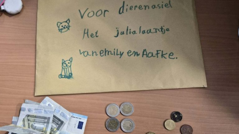 Kinderen halen geld op voor katten na vondst bij Streekdierentehuis ’t Julialaantje