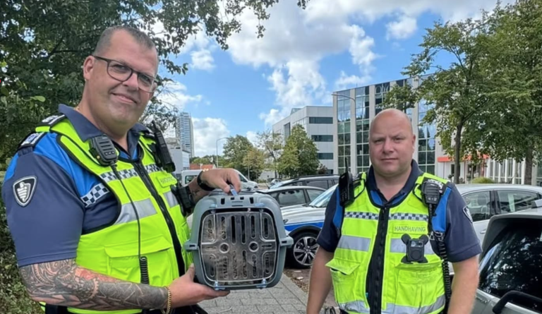 Handhaving vindt twee gedumpte kittens diep in de bosjes