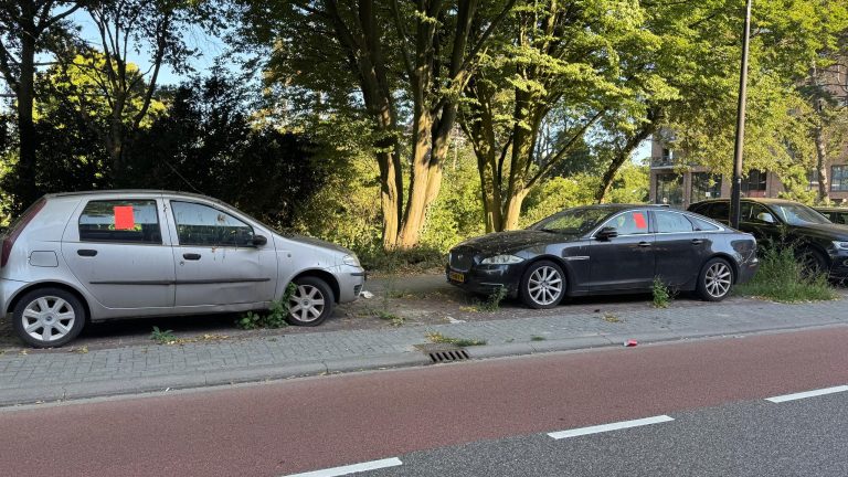 Zorgen over auto’s die wekenlang parkeerplekken bezet houden in Rijswijk