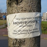 Markering bij bomenkap voorkomt verrassingen