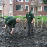 Vruchtbomen de grond in bij de Driesprong