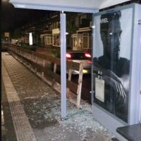 Rijswijkse Politie pakt vandalen op dankzij getuige