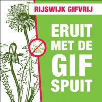 Onkruidbestrijding Rijswijk nu gifvrij