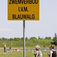 Plas Wilhelminapark geen zwemwater deze zomer