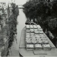 20 jaar De Strijp, van tuinbouw naar woningbouw