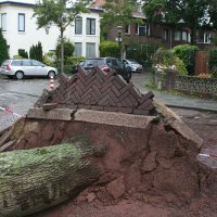 Storm brengt schade in Rijswijk