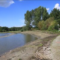 Zwemplas Wilhelminapark drie maanden droog tegen blauwalg