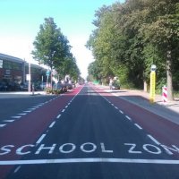 Treubstraat maakt Plaspoelpolder  mooier