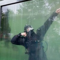 Rijswijker koppie onder in duiktank