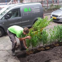 Binnen maand na brand staan er weer hagen in de tuin