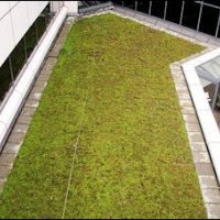 Groene Tornado in Rijswijkse Ministerwijk