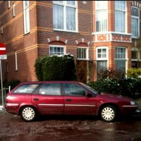 Bomenbuurt zucht onder grote parkeerdruk