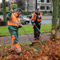 Bladeren ruimen groots aangepakt