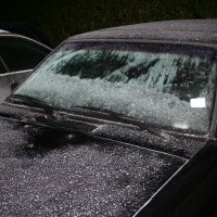 Koning Winter in Rijswijk