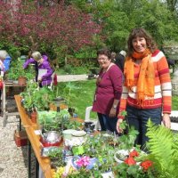 Groenmarkt in Steenvoorde Noord