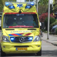 Omstander redt jongetje (3) van verdrinkingsdood in Rijswijk