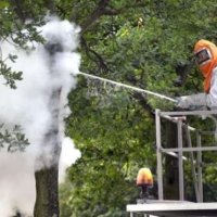 Rijswijk bestreed eikenprocessierupsen al in mei