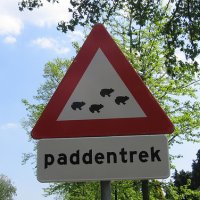 Overzetters staan klaar, maar padden willen nog niet