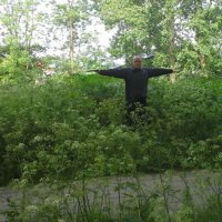 Berenklauw ontsiert route naar rustplaats Eikenlenburg