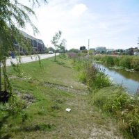 Natuurvriendelijke toekomst voor Martin Campslaan