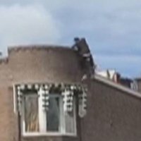 Buurtbewoner maakt foto van crimineel in Bilderdijklaan