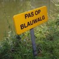 Zwemwaarschuwing De Put en Wilhelminapark