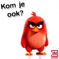 Zondag spektakel in In de Bogaard