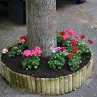 Leeuwendaal fleuriger door meer bloemen