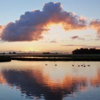 Fototentoonstelling over Natuur in de regio