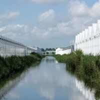 Partij voor de dieren stelt vragen over waterkwaliteit