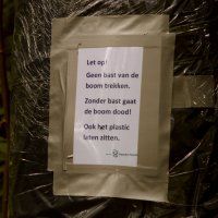Vandalen trekken bast van bomen