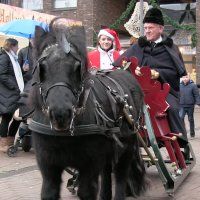 Gezellige Kerstmarkt in Ackershof