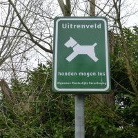 Pijnacker: meer aandacht voor uitrenvelden honden