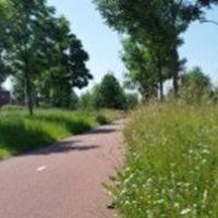 Start maaiseizoen in de bermen