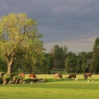 Foto-expositie in Pijnacker