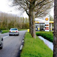 B & W willen geen bomen kappen bij benzinestation Noordweg