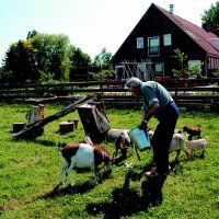 5000 euro voor zorgboerderij Buitengewoon