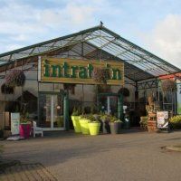 Twee planten voor een tegel