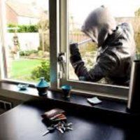 Inbraken, vernielingen en diefstal in Pijnacker-Nootdorp