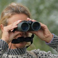 Leer kijken naar vogels