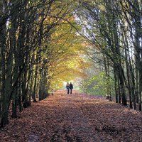 Wandelen door de Balij