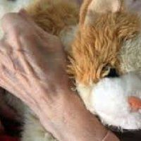 Informatie-avond over dementie