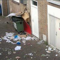 Horeca zorgt voor overlast meeuwen